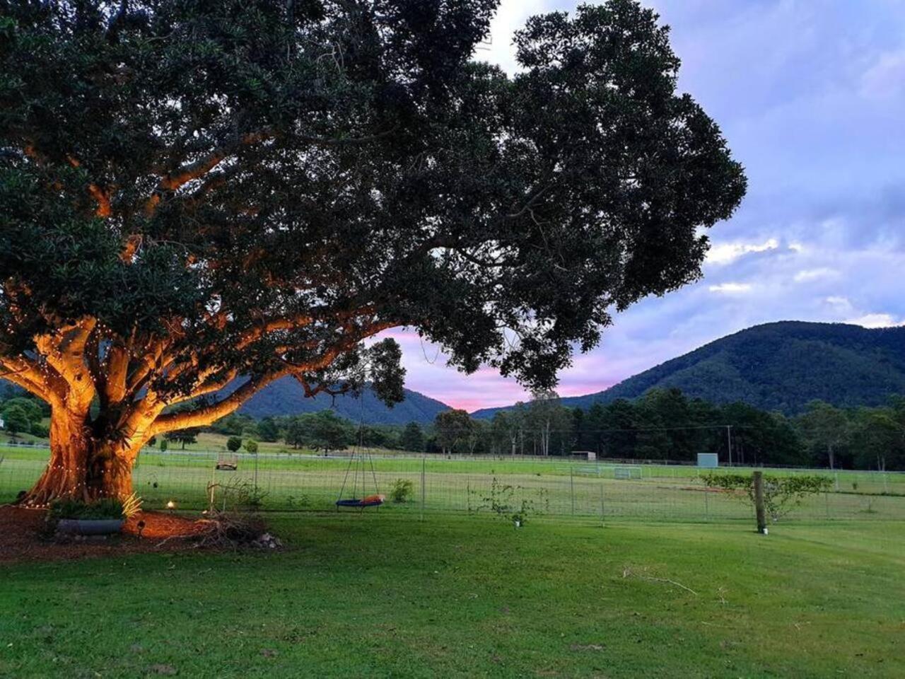 Fig Tree Farm B&B Highvale-Farmstay Near Brisbane! Exterior foto