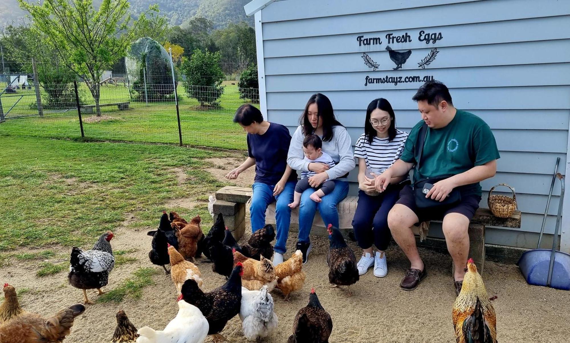Fig Tree Farm B&B Highvale-Farmstay Near Brisbane! Exterior foto